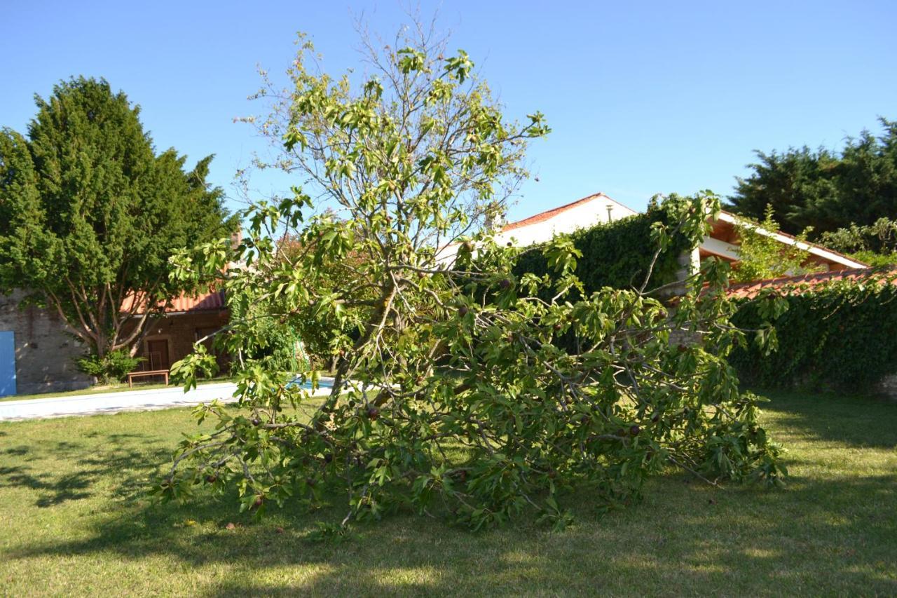 La Maison De Thire Bed and Breakfast Εξωτερικό φωτογραφία